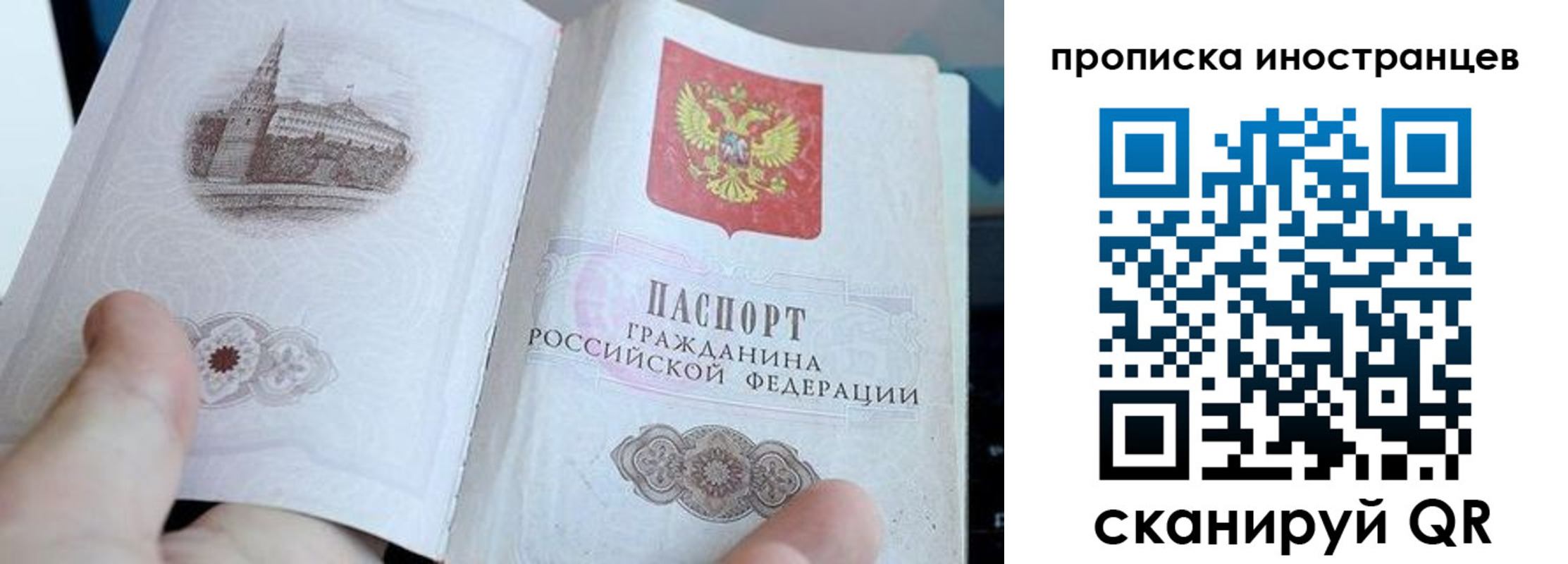 прописка поиск в Тольятти